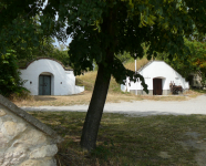 Kellergasse mit Weinbaumuseum (Prellenkirchen)